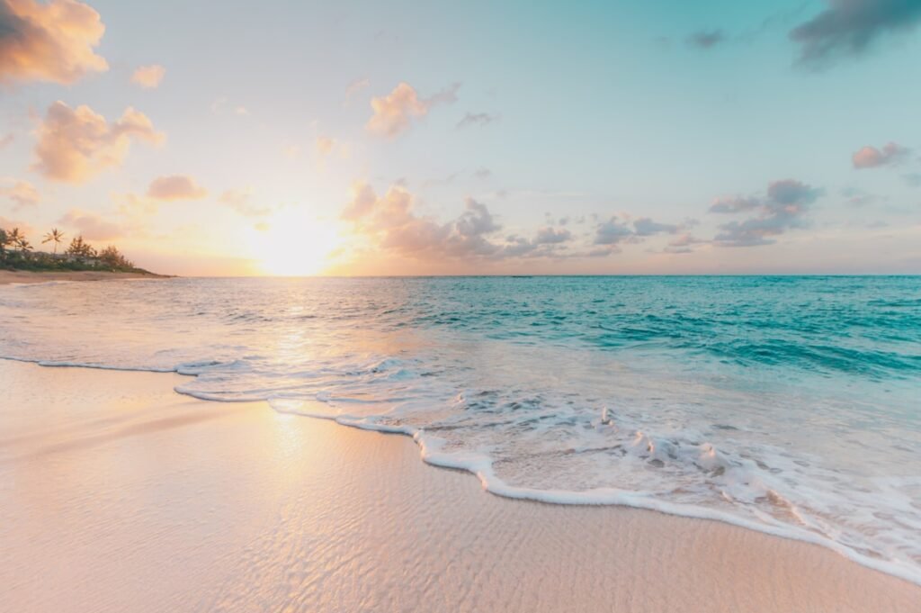 Seawater Agriculture: How Halophyte Genetics are Turning Arabian Sand into Productive Fields